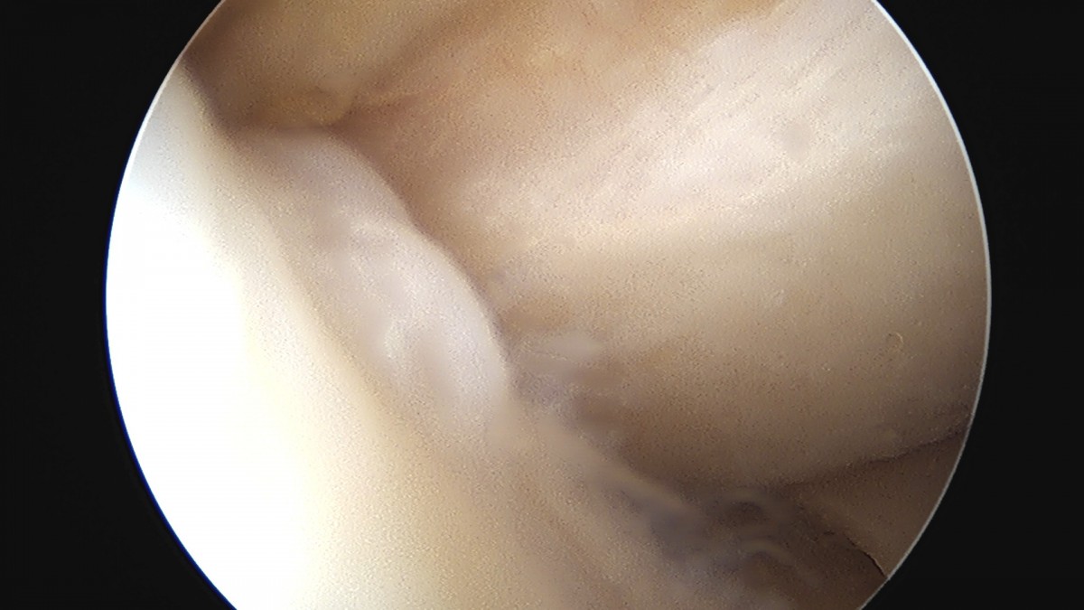 dae765e4d9ac96aee867c9d6292d8784_1758006561_9174.jpg
