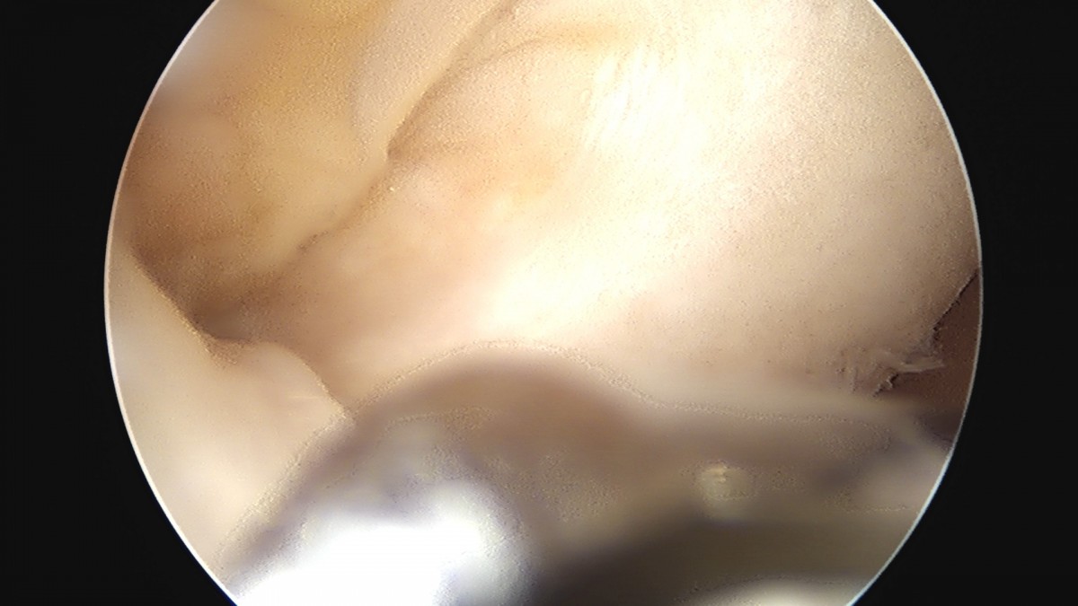 dae765e4d9ac96aee867c9d6292d8784_1758006563_0788.jpg