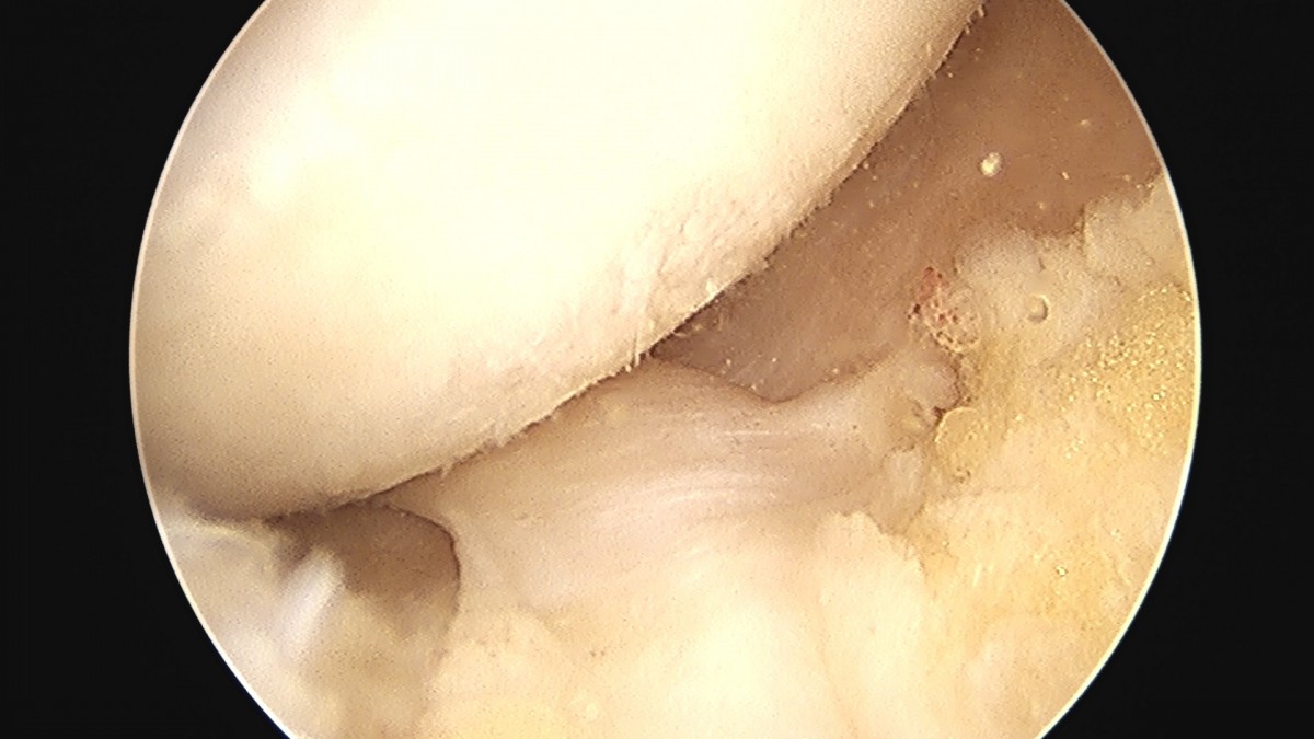 dae765e4d9ac96aee867c9d6292d8784_1758006563_6657.jpg