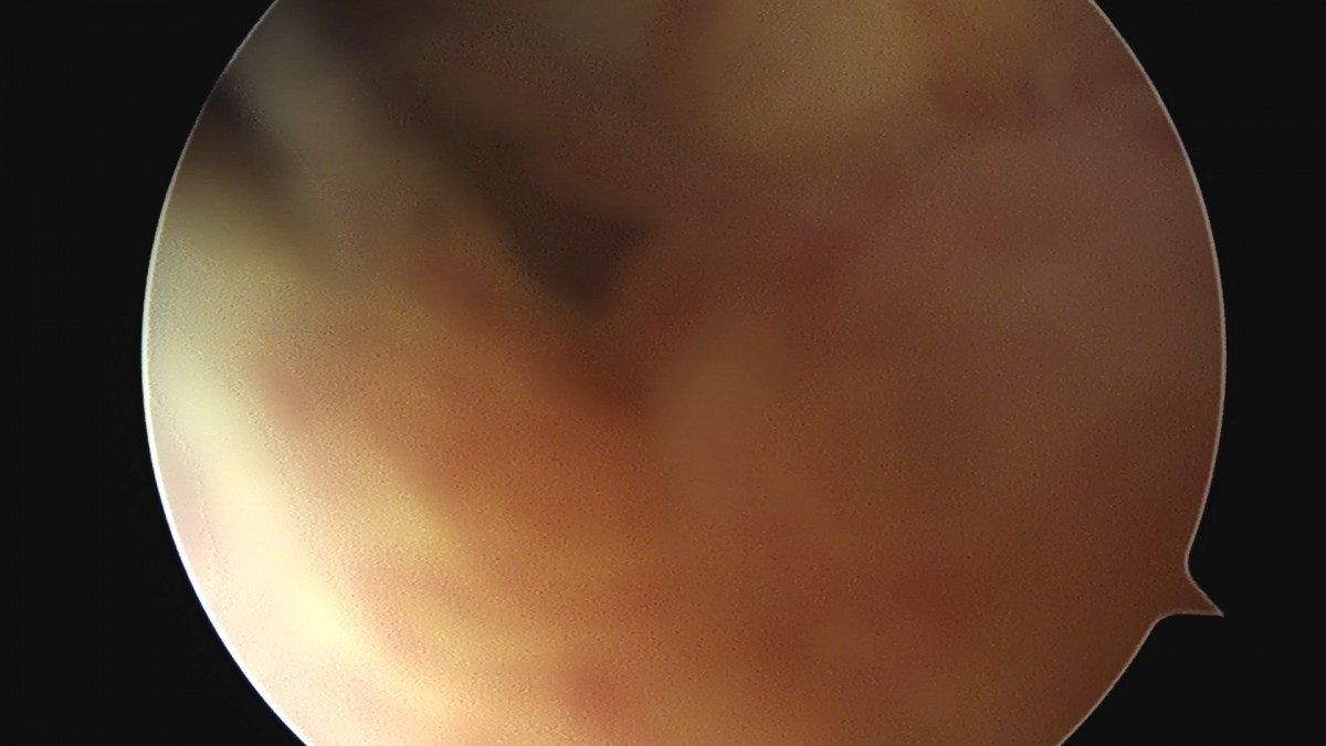 dae765e4d9ac96aee867c9d6292d8784_1758007655_7733.jpg
