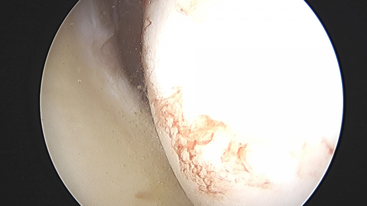 dae765e4d9ac96aee867c9d6292d8784_1758009063_9981.jpg