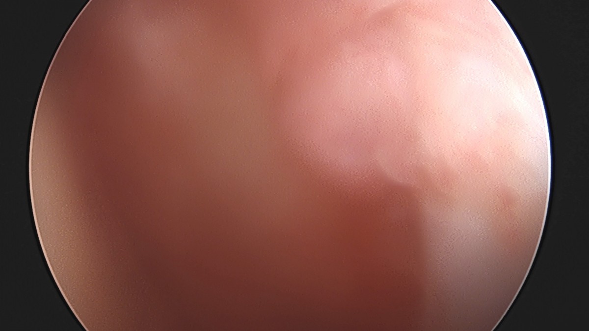 dae765e4d9ac96aee867c9d6292d8784_1758009549_4927.jpg