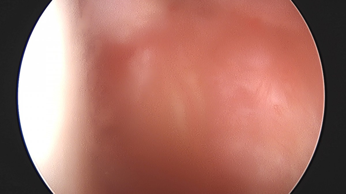 dae765e4d9ac96aee867c9d6292d8784_1758009550_7108.jpg